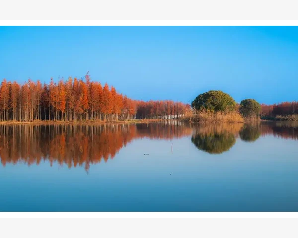 轻松保存MT4图表为图片的完整操作步骤_使用TimeCurrent时常见的错误和解决方法