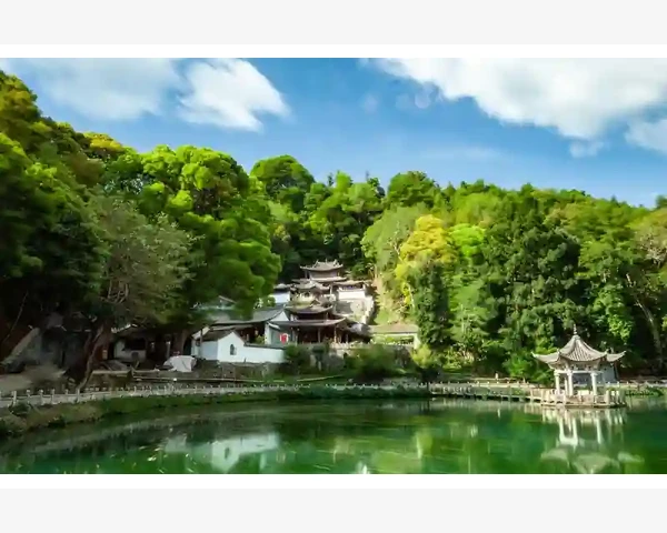MT4多窗口布局终端位置随心调_利用数据窗口优化交易决策的技巧