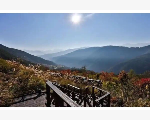盈利因子计算揭秘MT4回测核心指标解读_调整MT4的系统设置