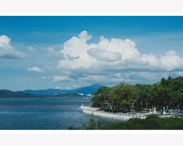 MT4隔夜利息正负含义看懂利息收益与费用_图表窗口的快速切换技巧