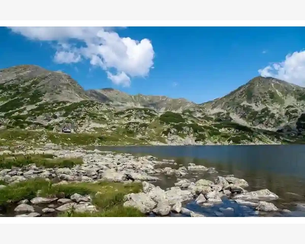 MT4跨设备数据同步实现电脑手机无缝衔接_常见问题与排查方法