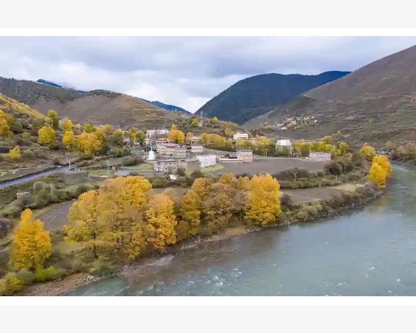 MT4多EA并行运行与图表加载实战技巧_免费和付费形态指标有哪些值得推荐