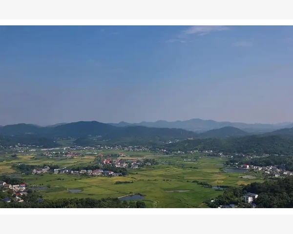 MT4重启后布局恢复默认保存模板锁定自定义界面_如何快速定位历史记录中的注释