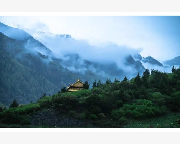 MT4交易报告最大持仓量计算方式详解_成交量指标辅助验证趋势持续性