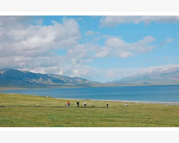 MT4调指标参数没变化一个关键操作就能解决_图表设置与技术指标应用
