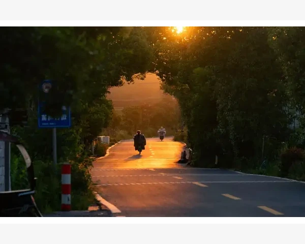MT4交易表现分析从账户历史开始_用账户历史导出交易数据_1