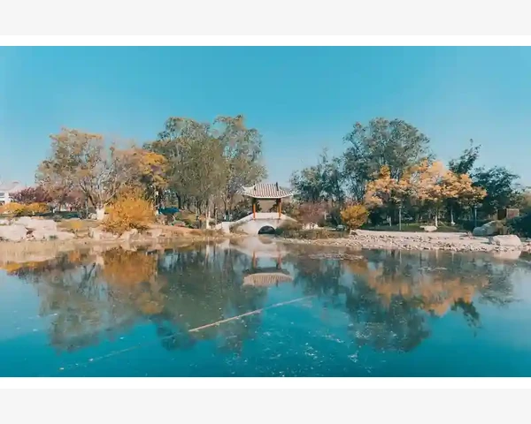 MT4自动固定止损预设方法让交易更省心_密码管理中的常见误区与安全隐患