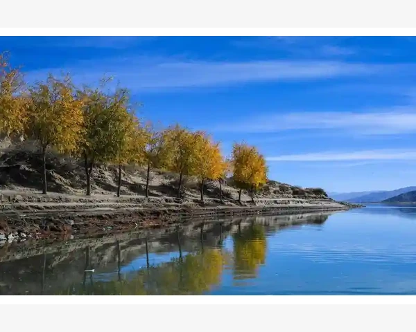 MT4平铺窗口四图同看不同周期排列技巧_为什么回测报告会损坏