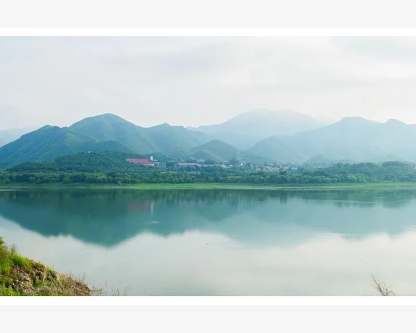 MT4弹窗提示关闭方法轻松掌握_实战案例:从日志中解读订单拒绝的深层原因