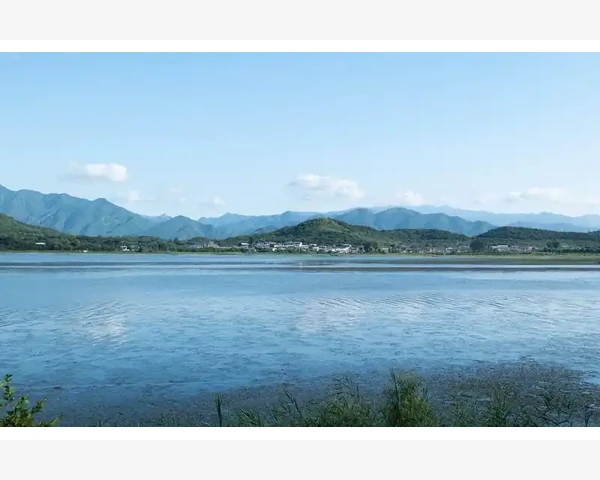 MT4追踪止损设置步骤与实战技巧_处理经纪商限制或自定义品种的特殊情况