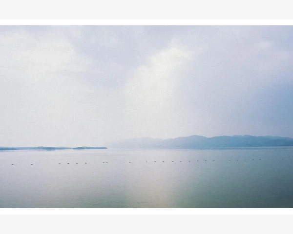 MT4模拟账户交易记录保存与历史数据导出详解_一步步设置并保存常用指标模板