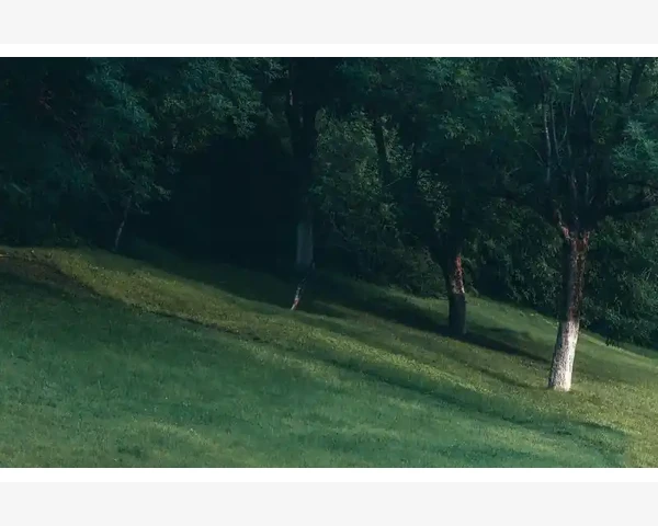 MT4模拟账户与实盘服务器地址不一致的登录对策_MT4本地设置调整让数据刷新更高效