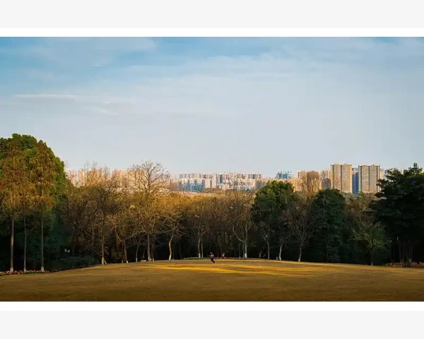 MT4智能交易系统时间过滤条件编写详解_如何正确看待和处理报价差异问题