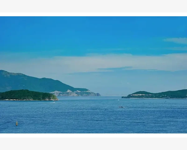 MT4交易账户快速切换的实用方法_第三步 应对特殊情况的平仓技巧